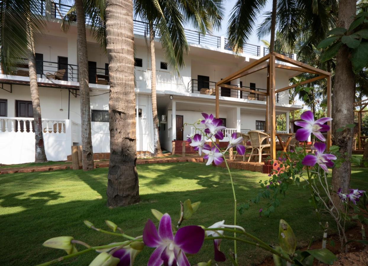 De Lavender Luxury Sea View Guest Houses アゴンダ エクステリア 写真